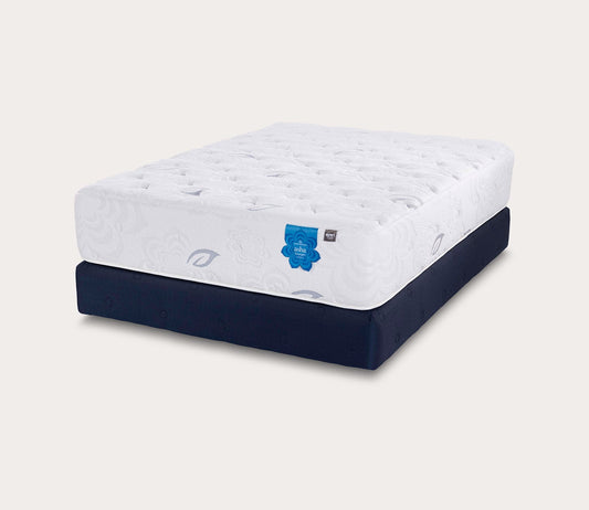PranaSleep Asha Luxe Pro 3.0 Medium Mattress
