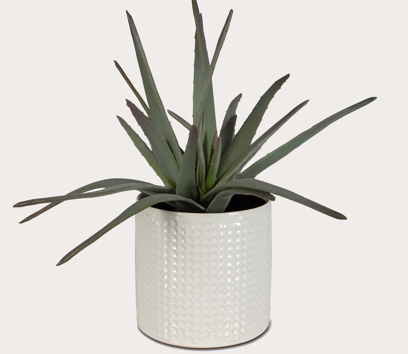 Taos Faux Aloe Plant Centerpiece